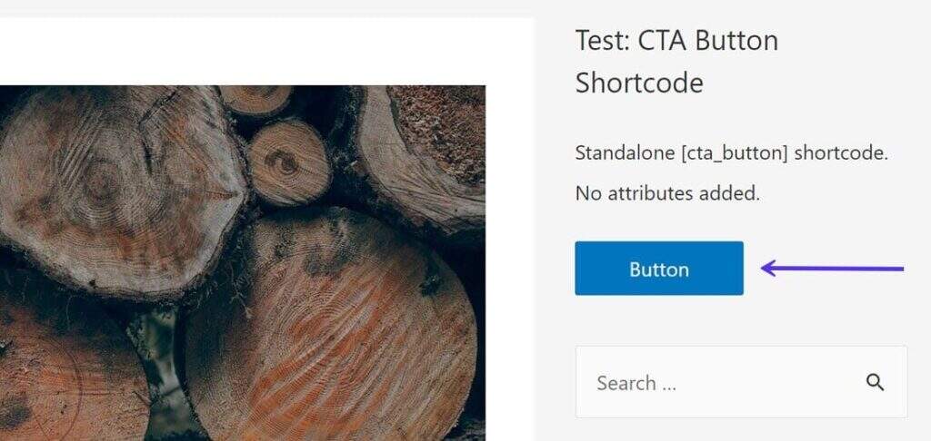 CTA按钮短代码的输出显示它按预期完美运行