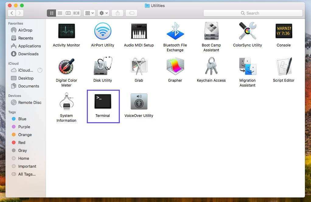 Mac上的终端应用程序
