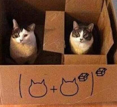 【摸鱼图】周五吸猫，箱子里的猫和箱子里的箱子里的猫！ （6期）