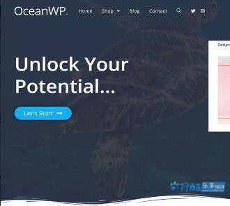 WordPress_OceanWP商城中文主题_WooCommerce商店商城支持_子主题+汉化插件